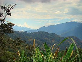 Severní Yungas